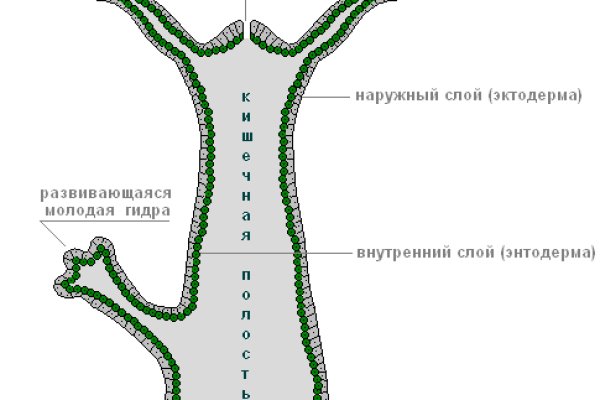 Как пополнить баланс кракен